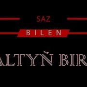 ALTYŇ BIRI