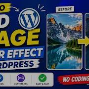 Add Hover Animation On Images In WordPress Without Coding