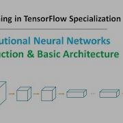 Глубокое обучение в TensorFlow 4 L1 Введение в CNN и базовая архитектура