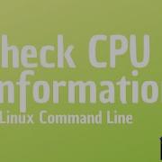 How To Check CPU Info In Linux Command Line
