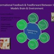Feedback And Feedforward