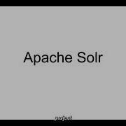 Get The Most Out Of Apache Solr A Technical Exploration Of Search Indexing