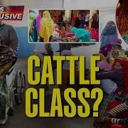 This Is Exclusive LIVE The Reckless Hasty Sterilization Drive For Tirbal Women