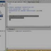 SQL Server 2008 Transparent Data Encryption