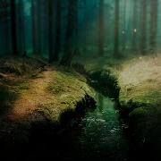 The Ambientalist The Hidden Path 2020 Extended Mix