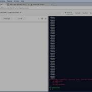 Web Development Mini Bootcamp Lesson 5