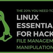 Linux Essentials For Hackers 3 File Management Manipulation