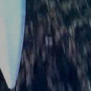 Acromaster Multiplex Crash
