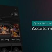Webflow Assets Manager Panel Quick Tutorial