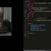 CSS The CSS Line Height Property