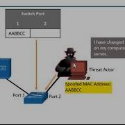 Amplification Reflection And Spoofing Attacks