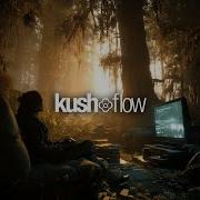 002 KushFlow Melodic Liquid Drum Bass Mix