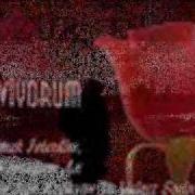 Seni Seviyorum Wmv