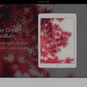 Blocs Pulse CMS Tutorial