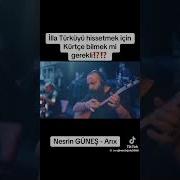 NESRİN GÜNEŞ Arıx