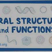 Viral Structure And Functions