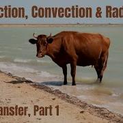 Intro To Conduction Convection Radiation Heat Transfer Part 1 For Middle School Students