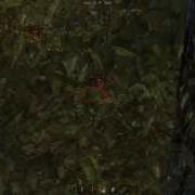 WorldOfTanks Tortoise 05 Prohorovka 2013 02 16 Flv ТЕСТ