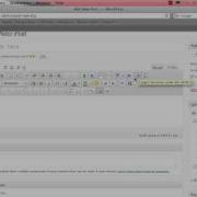 Wordpress WYSIWYG Editor Basics