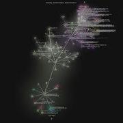 IOfficeAI AionUi Gource Visualisation