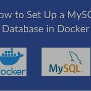Как настроить базу данных MySQL с помощью Docker
