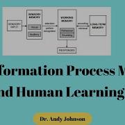 HUMAN LEARNING INFORMATION PROCESSING MODEL