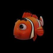 Clown Fish