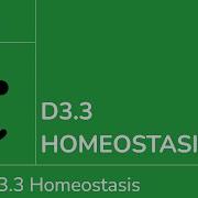 D3 3 Гомеостаз IB Biology SL HL