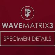 Instron WaveMatrix3 Specimen Details