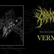 CARCOSA Vermin Official Audio Stream