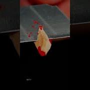 Pencil Sharpening In Slow Motion Slowmo Asmr Closeup