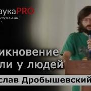 Возникновение морали у людей антрополог Станислав Дробышевский Научпоп
