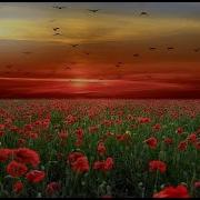 Mark Knopfler The Long Road Full Screen HD HQ