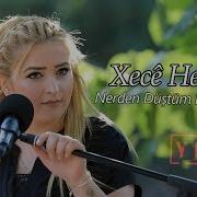 Xecê Herdem Nerden Düştüm Ben Bu Aşka Akustik