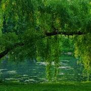 Psalm 1 Blessed Is The Man By Sons Of Korah