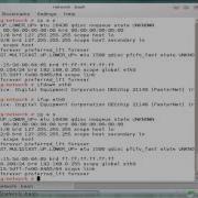 Изучение Linux Урок 3 Настройка сети и немного истории BASH