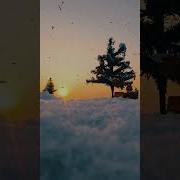 Creative Video Ideas For Christmas Merry Christmas Shorts Creative Christmas Gopro