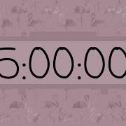 5 Hour Countdown Timer Stay Focused Productive No Distractions