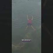 Giant Anaconda Or Titanoboa River Snake Caught On Camera