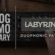 Labyrinth Duophonic Patching