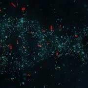 DNA Binary Code 4K Stock Video Screensaver