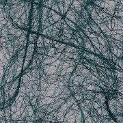 Vortex Braiding In Turbulence Cascade