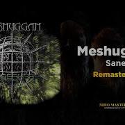 Meshuggah Sane MASSIVE Remaster