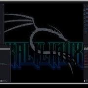 Testing TCP Client Server On Kali