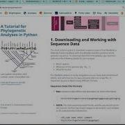 BioPython Tutorial Making Phylogenetic Trees In Python