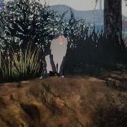 New Wolf Morph Any Name Idea S
