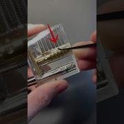 Quick Lock Picking Tutorial Shorts Lockpicking Tutorial