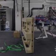 Trajectory Optimization Through Contacts And Automatic Gait Discovery For Quadrupeds