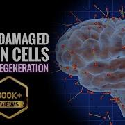 Heal Damaged Brain Cells Nerve Regeneration Theta Binaural Beats Sound Brain Cell Regeneration