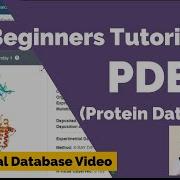 Учебное пособие по базе данных PDB руководство для начинающих